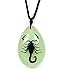 Real Genuine Black Scorpion Insect in Lucite Necklace