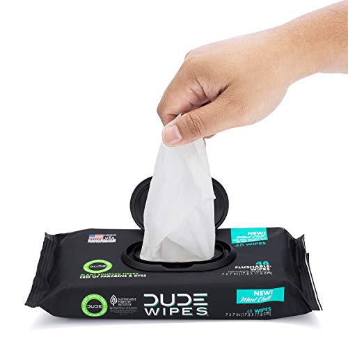 DUDE Wipes Flushable Wet Wipes Dispenser Mint Chill 48Count Scented