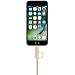 [Apple MFi Certified] TechHutt 2 in 1 Lightning to Micro USB Cable Nylon Braided Data Sync and Rapid Charge Cable Cord For iPhone 6 6s 6Plus iPad Pro Air Mini Samsung Galaxy S7 S6 (2-in-1 Gold 2m)