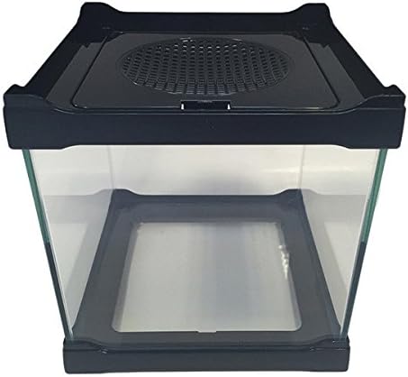 Small Stackable Glass Pet Reptile Insect Betta Shrimp Tank - BLACK 16x16x16 cm