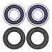 All Balls Rear Wheel Bearing Kit Compatible with 2006-2017 Victory Vegas 8‑Ball