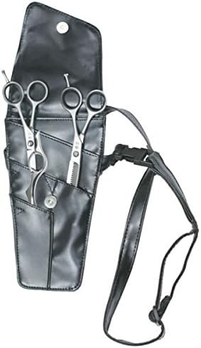 Fujika 5.5 Hairdressing Scissors and Razor Set