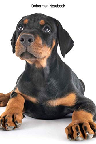 Doberman Notebook: Small lined Doberman notebook - Travel Journal to write in - 120 pages - 6"x9" โ image 1