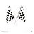 New ! 24 Party Favors RACING Nascar Race Car MINI Black White CHECKERED FLAGS