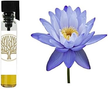Blue lotus doterra