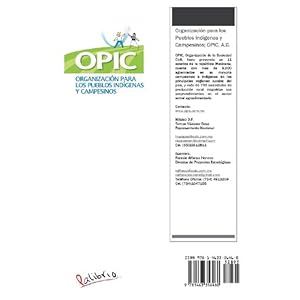 Manual de Manejo Sustentable del Cultivo de Jitomate En Invernadero (Spanish Edition)