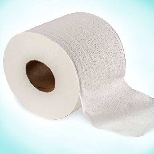 Scott Bulk Toilet Paper (04460), Individually Wrapped Standard Rolls eBay