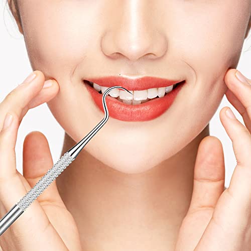 Dental Teeth Pick Stainless Steel Toothpick Set Reusable Tooth Stains Remover Dental Tool Teeth Cleaning Tools with Holder for Outdoor Picnic, Camping, Travel (3PCS/Set,)