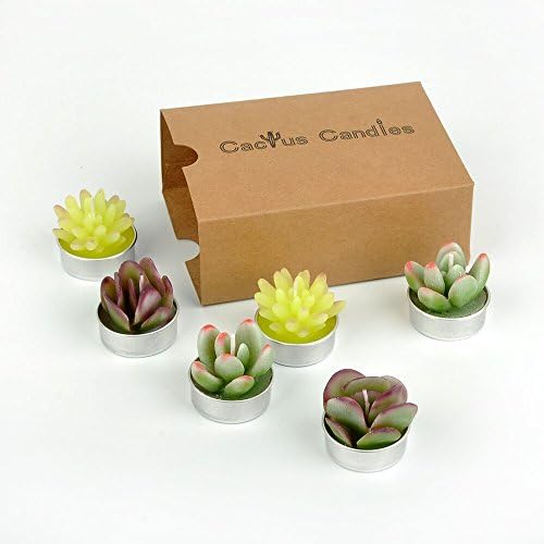 Quality Cactus Tealight Candles, Handmade Delicate Succulent Cactus Candles for Birthday Party, Wedding ,Home Decoration ,gift 6 PCS in Pack(style 1)