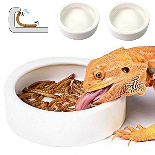 HELIME Ceramic Reptile Food Dish