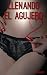 Llenando el agujero: Un taboo secreto - Libro Erotico en Español (Spanish Edition)