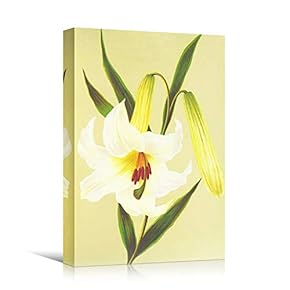signwin Canvas Wall Art White Flower Portraiture Colorful...