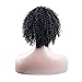 Befunny Curly Wigs for Black Women Short Jerry Kinky Afro Human Hair Wigs For Women Soft Fluffy None Lace Black Hair Wigs (1B#)