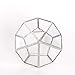 NCYP 5.3 inches Silver Handmade Wall Hanging Geometric Glass Terrarium Window Sill Balcony Succulent Planter Small Indoor Decoration Flower Pot Vase Centerpiece for Wedding Table (No Plants)