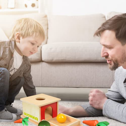 Montessori Toys for 1 2 Year Old Developmental Toddler Toys for