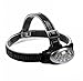 Utopia Home LED Headlamp - Waterproof Flash Light - Adjustable Headband - Best for Camping, Hiking, Hunting, Fishing, Running - Battery Powered