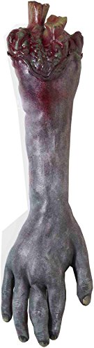 Forum Novelties Zombie Severed Arm, Multicolor
