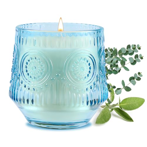 Eucalyptus Sage Scented Candle for Home - 7OZ Glass Jar Soy Candle Gift for Women/Men