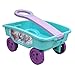 Frozen Eternal Winter Pull Along Wagon