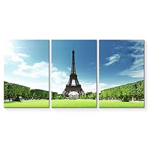 SIGNFORD 3 Piece Canvas Wall Art for Living...