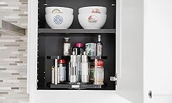 Spice Rack Organizer for Cabinet 2 Tier Lazy Susan