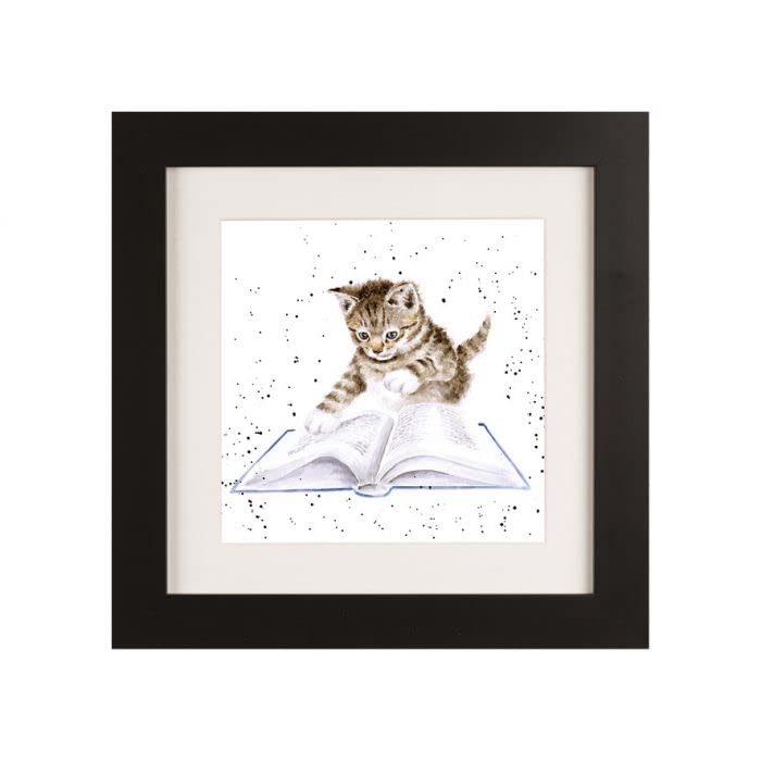 Wrendale Designs "Book Worm" Cat Framed Picture in Various Frame Colours (Black)