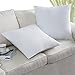 PHANTOSCOPE 2 Packs Polyester Throw Pillow Insert Sham Square Form Sofa Bed Pillow White for Home Decor 22