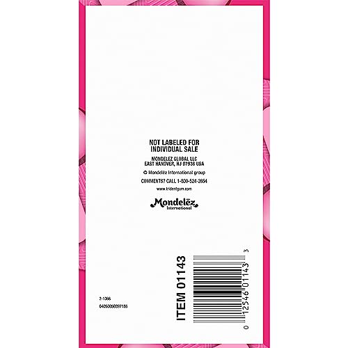 TRIDENT BUBBLEGUM SUGAR FREE GUM, TRAVEL ACCESSORIES, 12 PACKS OF 14 PIECES (168 TOTAL PIECES)