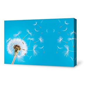for Living Room Bedroom Home Artwork Paintings Dandelion