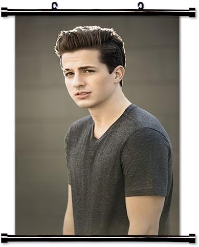 Charlie Puth Singer Fabric Wall Scroll Poster (16x24) Inches