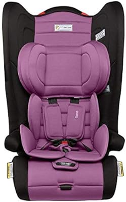 infasecure convertible booster