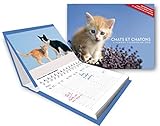 L'Agenda-Calendrier Chats et Chatons 2015 by 