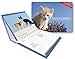 L'Agenda-Calendrier Chats et Chatons 2015 by 