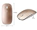 Rechargeable 2.4G Slim Wireless Mouse - Tsmine Optical Mice with USB Nano Receiver(Stored Within the Back of the Mouse) for Notebook, PC, Laptop, Computer, Windows / Android Tablet - Gold