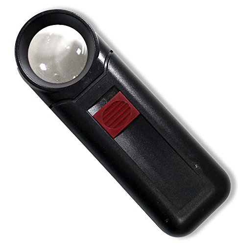 WALTEX6X Illuminated Handheld Magnifier | 1-1/4" Powerful Lens | Compact & Portable | Ideal for Detailed & Illuminated Observation | 4.5" Length | Requires 2 "AA Batteries