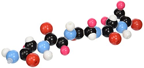 Molecular models company 14-bp311 polypeptide 5 unit mo…
