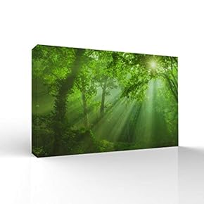Canvas Wall Art-Sunshine in The Forest -Canvas Prints Home Artwork Decoration for Living Room,Bedroom - 12x18 inches