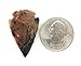 Jasper Arrowhead - Bag of 25 Arrowheads Replica Modern- 1