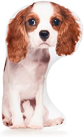 Cushion Co - King Charles Cavalier Spaniel Pillow 16" x 12"