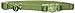 Coastal Pet Products CCP7001PGR Nylon Safe Cat Adjustable Breakaway Collar with Bells, Palm Green