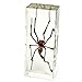 REALBUG Golden Orb-Web Spider Paperweight (1 5/8 x 4 3/8 x 1 1/8