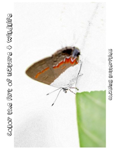 Chasing Butterflies [Line Drawings]: Color the Art of Nature + Wildlife