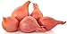 Shallot seeds "Shallots Perennial" Ukrainian Organic Vegetable onion - 100 Seeds