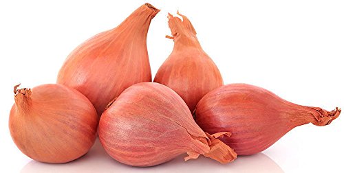 Shallot seeds 