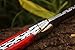 DKC Knives (31 6/18) Sale DKC-93 MT. TAM Damascus Folding Laguiole Style Pocket Knife Red Pakka Wood 4.5