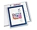 Avery Flexi-View Presentation Book, Clear Front Window for Title Page, 12 Non-Stick Pages, 1 Blue Book (47692)