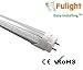 Fulight Not-a-Plug-and-Play (Type B) & Clear T8 LED Tube Light - 2FT 24-Inch 10W (18W Equivalent), Warm White 3000-3500K, F17T8, F18T8, F20T10, F20T12/WW, Double-End Powered, Clear Cover, 85-265VAC