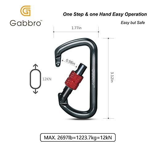 Carabiner, GABBRO 12KN/2697lbs Screwgate D-Ring Carabiner Clip, 3/4 oz Aircraft Grade Aluminum, Heavy Duty Caribeaners for Hammocks Tarp Swing Dog Leash Keychain Camping, NOT for Climbing (2 Pcs/Gray)