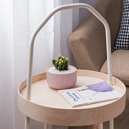 JOFAMY Plastic Plant Pots Scandinavian, 3 Pack Flower Pots with Drainage Holes and Rubber Stopper, Modern Simple Design Indoor Planter for Most Houseplants, Succulents, Aloe, Pothos, Snake Plants