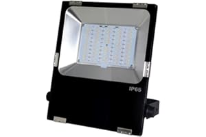 Landscape Lights LED Floodlight 10W 20W 30W 50W IP65 AC85-265V Waterproof RGB + CCT LED Flood Light for Outdoor Lighting LED 